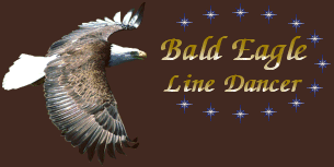 Bald Eagle Line Dancer